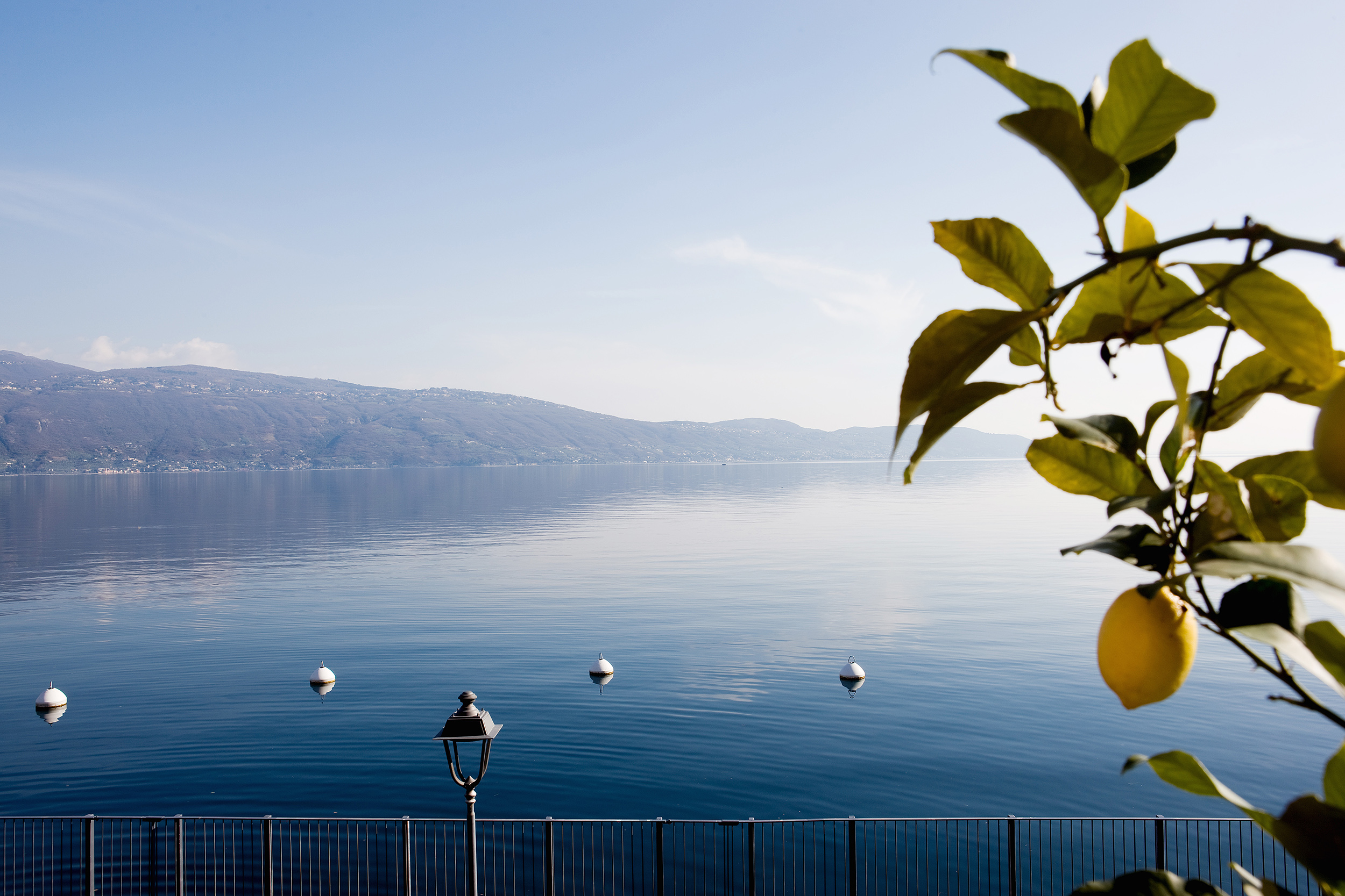 La trattoria si trova immersa nella meravigliosa cornice del lago di Garda